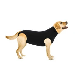 Suitical Recovery Suit Hond - Zwart -Hondenbenodigdheden Winkel 030c0c95b2225b3f51d0531451c332d22240a6793456a94550dc3c51446b2a0a 4