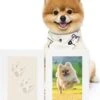 Honden Fotolijst Met Kleiafdruk – Gipsafdruk – Speelgoed Voor Dieren – Pootafdruk Hond – Puppy Speelgoed – Gipsafdruk Huisdie -Hondenbenodigdheden Winkel 1026x1200
