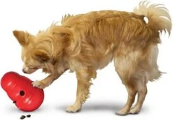 Kong Wobbler-Kong Speelgoed Hond-slow Feeder Hond-honden Speelgoed-Maat L