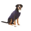 Medical Pet Shirt Hond -Hondenbenodigdheden Winkel 168712b464eacd32ef0ae49d7af9c1d4c302bc0d207cb92f9bac4818409a23e8 5
