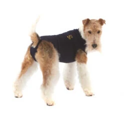 Medical Pet Shirt Hond -Hondenbenodigdheden Winkel 4824e31aaaa9e8ef29ea0a9e3386e7e1c0120620d686ccc21387ee33c2deeecf 3