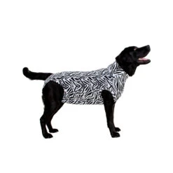 Medical Pet Shirt Hond Zebra Print -Hondenbenodigdheden Winkel 50c5aab6e2da52aa948838962cdcb860cd036e5b89fc3439f93576ab4be782ab 3