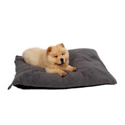 51 Degrees North Sheep Hondenkussen -Hondenbenodigdheden Winkel 51 degrees north sheep hondenkussen 141479 1000 none