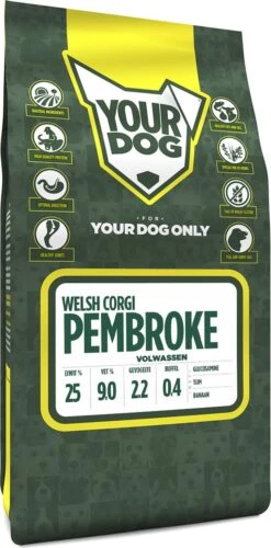 Yourdog Welsh Corgi Pembroke Volwassen (3 KG)