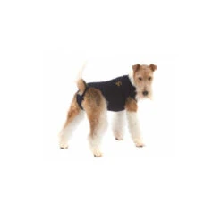Medical Pet Shirt Hond -Hondenbenodigdheden Winkel 8f0c29a74e121981e0a608cdef894d5689ea7ab3870abc72a691b7fa23619efa 3