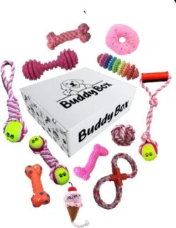 Honden Speelgoed – Puppy Speelgoed – 11 Stuks – Roze – 1 Speeltje Gratis – Honden Knuffel – Trektouw – Honden Speeltjes