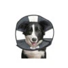 ZenPet Zen Collar 2 ZenPet Zen Collar -Hondenbenodigdheden Winkel 942fa87c5a3e5a9142fd70fe4e58f85ca3f82254cbec78427a0c6c123ea8dabb 5