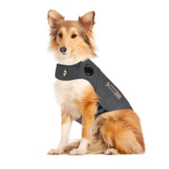 Thundershirt Hond 11 Thundershirt Hond -Hondenbenodigdheden Winkel RM4aKjWpKSrS2PZqqxugnou7ShRMkF metadGh1bmRlcnNoaXJ0X2hvbmRfMjE1OTQyXzA1MDBfbm9uZS5qcGc