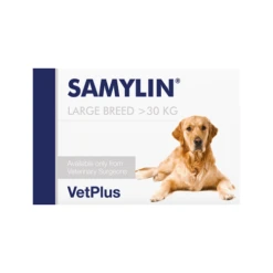 Vetplus Samylin - Tabletten 8 Vetplus Samylin - Tabletten -Hondenbenodigdheden Winkel TMpWTAiSQVnLBFciegVunVUDv8tzTF metadmV0cGx1c19zYW15bGluXzIwNDUxOF8wNTAwX25vbmUucG5n