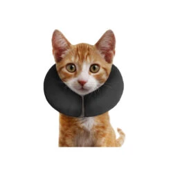 ZenPet Pro Collar 22 ZenPet Pro Collar -Hondenbenodigdheden Winkel acf3a53e750af16e02f3b6c4def4cf122f33c26a00c663a14593321940f579ed 3