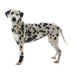 Kruuse Rehab Polsbeschermer -Hondenbenodigdheden Winkel ad643cb611002c0eb36a2ecceb9640d7689584f895d3355cd1a6f07fdcfaf43b 4