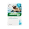 Advantage Hond -Hondenbenodigdheden Winkel advantage 100 hond 4 10kg 4 x 1 ml 46386 1000 none 1