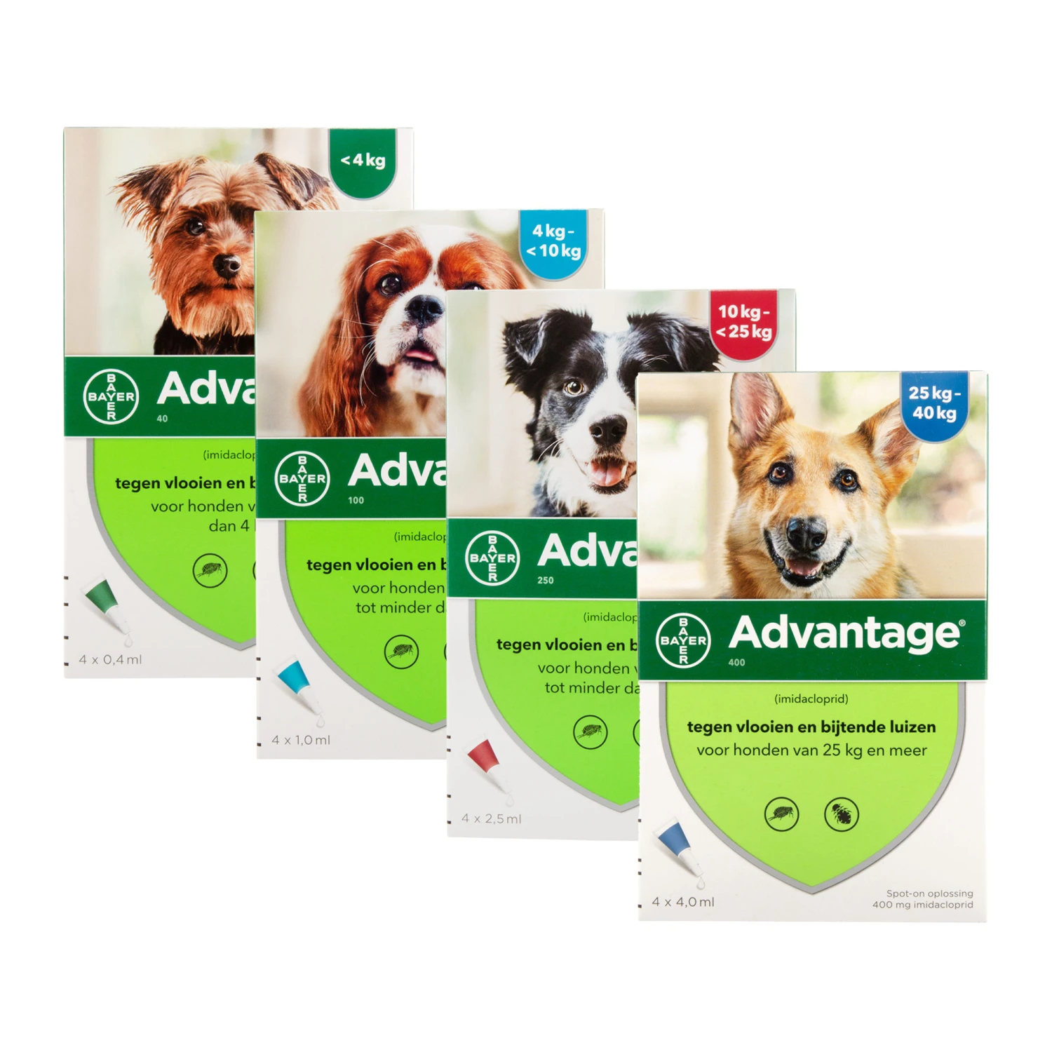 Advantage Hond - Afbeelding 6