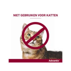 Advantix -Hondenbenodigdheden Winkel advantix 174190 0500 none