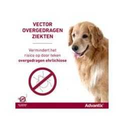 Advantix -Hondenbenodigdheden Winkel advantix 174193 0500 none
