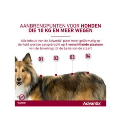 Advantix -Hondenbenodigdheden Winkel advantix 174199 0500 none