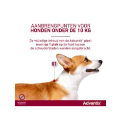 Advantix -Hondenbenodigdheden Winkel advantix 174202 0500 none