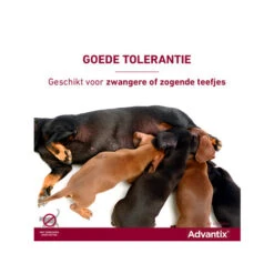 Advantix -Hondenbenodigdheden Winkel advantix 174214 0500 none