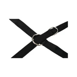 Beeztees Dressuurlijn -Hondenbenodigdheden Winkel beeztees dressuurlijn 199445 2000 none