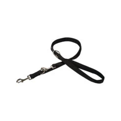 Beeztees Dressuurlijn