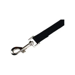 Beeztees Nylon Sliplijn -Hondenbenodigdheden Winkel beeztees nylon hondenriem 198527 2000 none