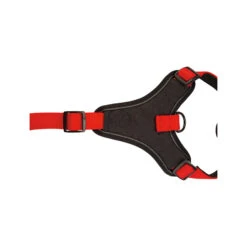 Beeztees Parinca Premium Y-tuig -Hondenbenodigdheden Winkel beeztees parinca premium y tuig 199589 2000 none