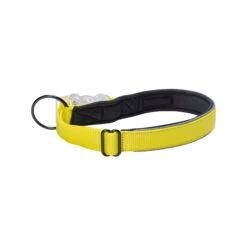 Beeztees Safety Gear Parinca Premium Halsband -Hondenbenodigdheden Winkel beeztees safety gear parinca premium halsband 214985 2000 none