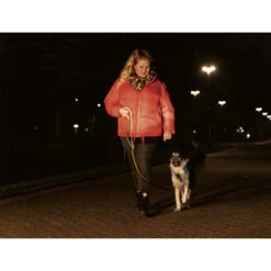 Beeztees Safety Gear Parinca Premium Hondenriem -Hondenbenodigdheden Winkel beeztees safety gear parinca premium hondenriem 215042 2000 none