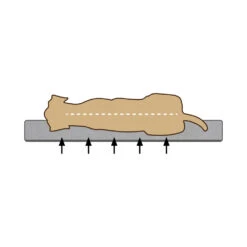 Beeztees Ligbed Yura -Hondenbenodigdheden Winkel bezpkMWiqL3rXJQUZyurY1g4CsoFly metaQmVlenRlZXMtTWVtb3J5LUZvYW0tVW1hLUhvbmRlbm1hbmQtb3J0aG9wZWRpc2NoLTIuanBn