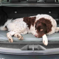 Bia Original Matras Grijs -Hondenbenodigdheden Winkel bia original matras grijs 164077 0500 none