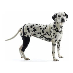 Kruuse Rehab Kniebeschermer -Hondenbenodigdheden Winkel c5432e849c57be5cf9b142aceb54d36aec3622415ff4bdfc6f3759020f86dcac 3