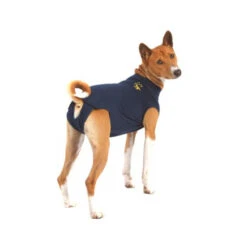 Medical Pet Shirt Hond -Hondenbenodigdheden Winkel c692559cb27d248a0d8524aded8339483f8d41f8bd7ff2e533cff08517ea451a 3