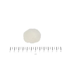 Canina Cellulose Poeder -Hondenbenodigdheden Winkel canina cellulose poeder 189931 1000 none