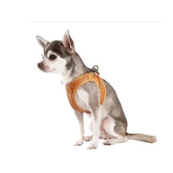 Curli Harnas Vegan Appelleer -Hondenbenodigdheden Winkel curli harnas vegan appelleer 216633 0500 none