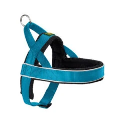 Hunter Norweger Hondentuig -Hondenbenodigdheden Winkel d810aacccb8e8fd9deea9968bc5f720c6922825a556ced149423330c78f5c8ae 3