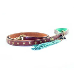 DWAM Hondenriem Joe -Hondenbenodigdheden Winkel d851e1da746a7ed69e57f268b3d363ea01f1b2f4b9f1cd7e247e9dd6aefa05ae 4