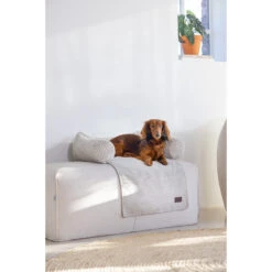 Designed By Lotte Bankkussen Ribbed 15 Designed By Lotte Bankkussen Ribbed -Hondenbenodigdheden Winkel designed by lotte bankkussen ribbed 222738 2000 none