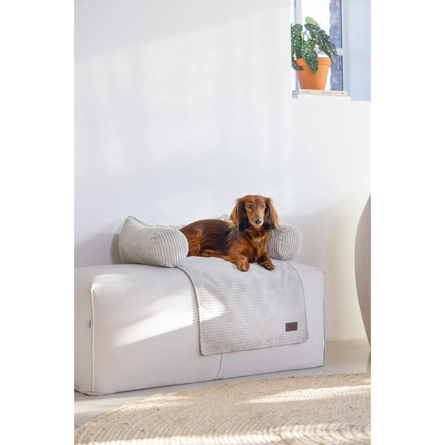 Designed By Lotte Bankkussen Ribbed 9 Designed By Lotte Bankkussen Ribbed - Afbeelding 7