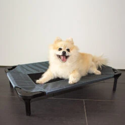 Duvo+ Hondenstretcher Relax 16 Duvo+ Hondenstretcher Relax -Hondenbenodigdheden Winkel duvo hondenstretcher relax 199796 1000 none