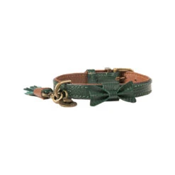 DWAM Halsband Bowie 12 DWAM Halsband Bowie -Hondenbenodigdheden Winkel dwam bowie halsband groen xs 113209 1000 none