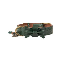 DWAM Halsband Bowie 13 DWAM Halsband Bowie -Hondenbenodigdheden Winkel dwam bowie halsband groen xxl 113224 1000 none