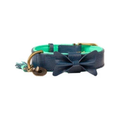 DWAM Halsband Buster -Hondenbenodigdheden Winkel dwam buster halsband blauw xxl 113113 1000 none