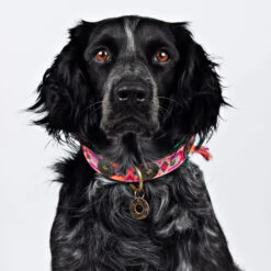 DWAM Halsband Boho Rosa -Hondenbenodigdheden Winkel dwam halsband boho rosa 133649 2000 none
