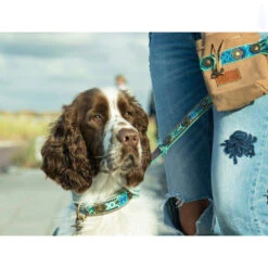 DWAM Hondenriem Boho Juan -Hondenbenodigdheden Winkel dwam hondenriem boho juan 135979 1000 none