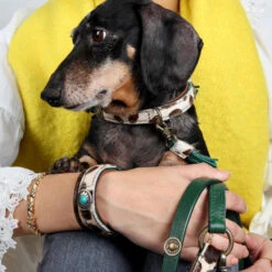 DWAM Hondenriem Ivy -Hondenbenodigdheden Winkel dwam hondenriem ivy 180697 1000 none