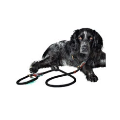 DWAM Hondenriem Long John -Hondenbenodigdheden Winkel dwam hondenriem long john 166357 1000 none