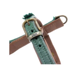 DWAM Hondentuigje Ivy -Hondenbenodigdheden Winkel dwam hondentuigje ivy 182740 1000 none