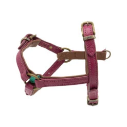 DWAM Hondentuigje Lou Lou -Hondenbenodigdheden Winkel dwam hondentuigje lou lou 182155 1000 none