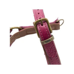 DWAM Hondentuigje Lou Lou -Hondenbenodigdheden Winkel dwam hondentuigje lou lou 182158 1000 none