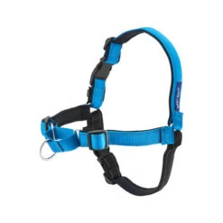 PetSafe Easywalk Tuigje -Hondenbenodigdheden Winkel e19e4250c22f2f1a17603cb9fbd84fb874e75ae3527544640b8039bb9c5a7d4e 3